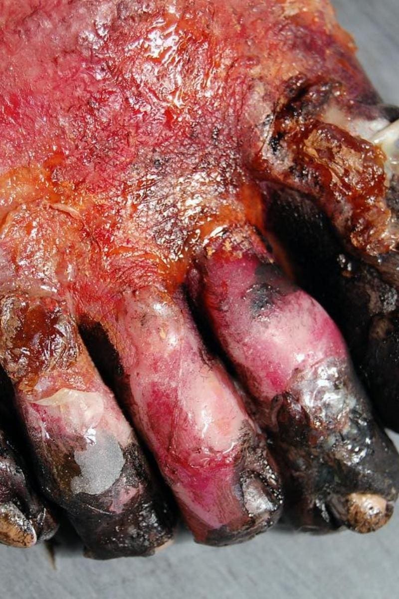 Burnt Toes SFX Makeup